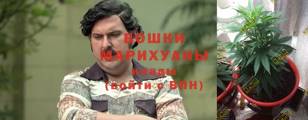 каннабис Инта