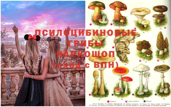 каннабис Инта