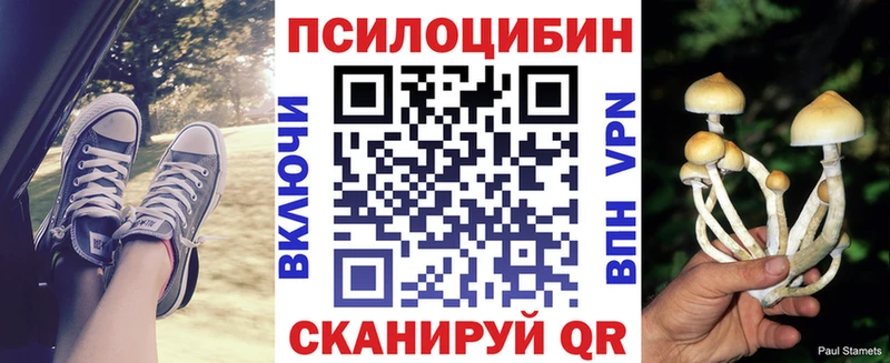Псилоцибиновые грибы мухоморы  Купить где  Партизанск 